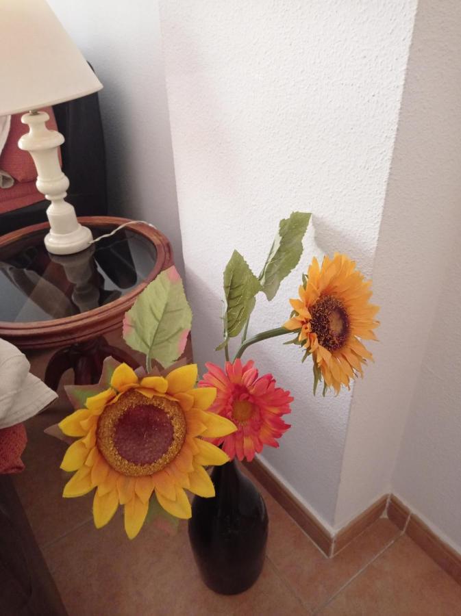 Piso Isla Cristina Daire Dış mekan fotoğraf